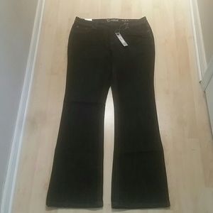 New Directions 14 Boot cut Jeans NWT